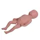 Medical Educational Models First-rate Servicewholesaler 3