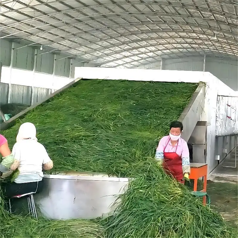 Quality Vegetable Dehydration Machine Price 2