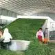 Quality Vegetable Dehydration Machine Price 2