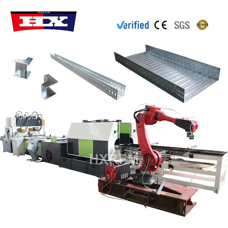 Panel Roll Forming Machine by HAIXING-1 2