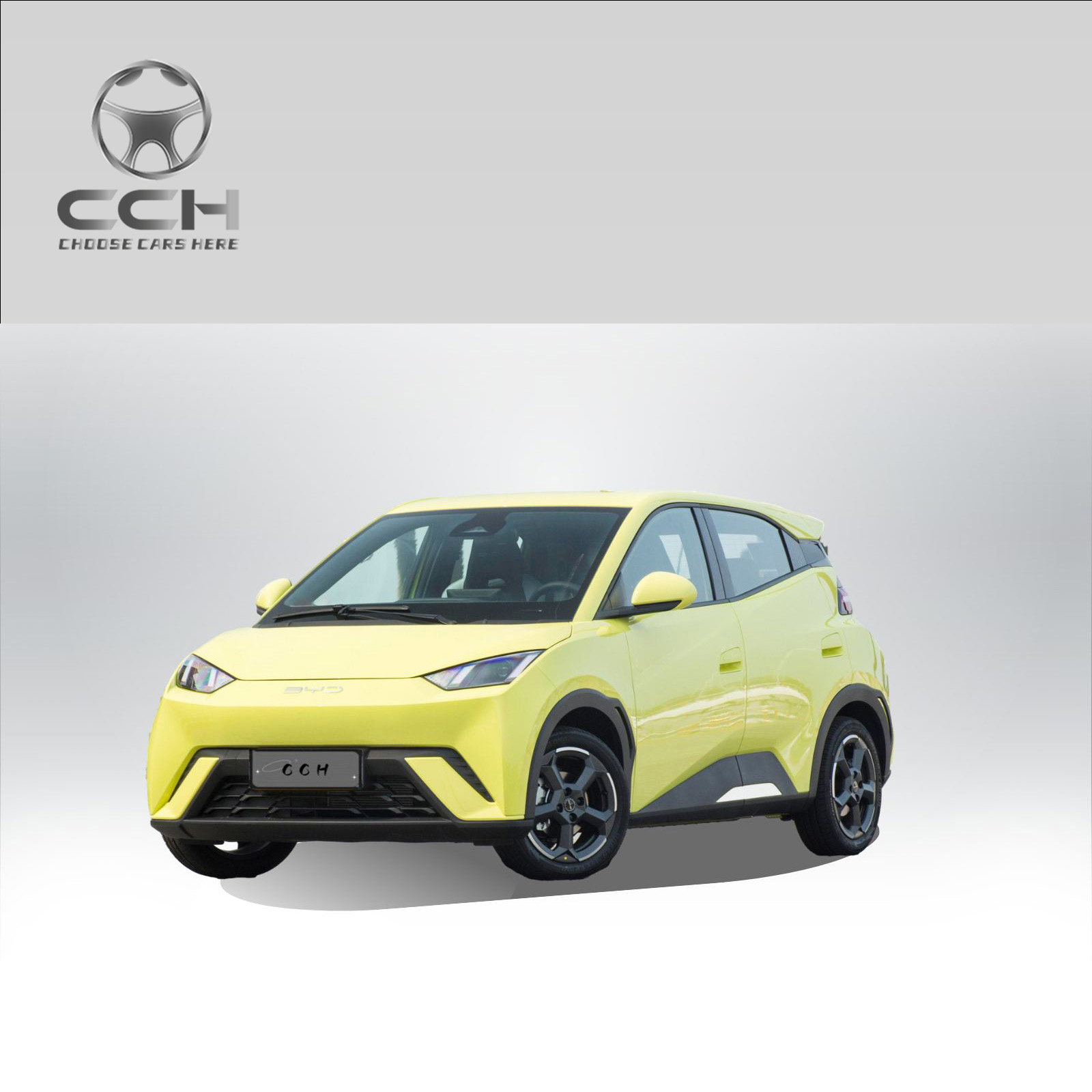 I-BYD Seagull Ev 2025 eno-405km Imoto Yamandla Entsha Yezihlalo ezi-4 ikhwalithi yekhwalithi ehlanzekile kagesi eshaja ngokushesha i-Smart Cheap Mini EV Car iyathengiswa 2