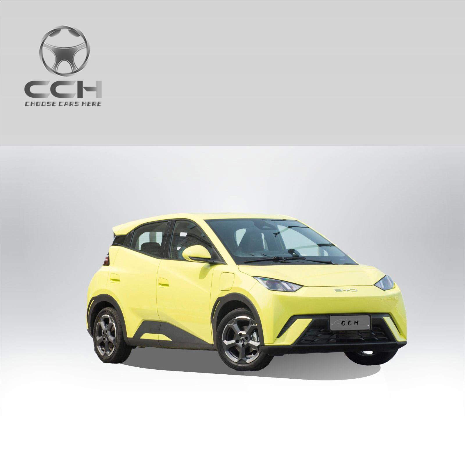 I-BYD Seagull Ev 2025 eno-405km Imoto Yamandla Entsha Yezihlalo ezi-4 ikhwalithi yekhwalithi ehlanzekile kagesi eshaja ngokushesha i-Smart Cheap Mini EV Car iyathengiswa 3