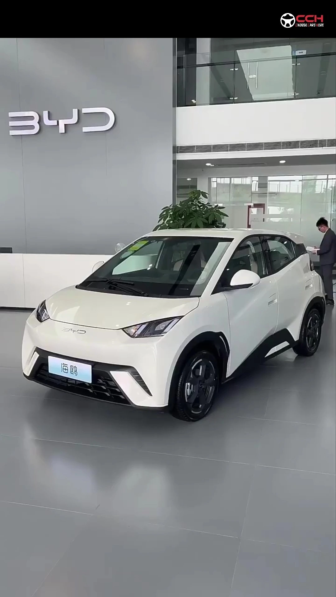 BYD Seagull Ev 2025 עם 405 קמ רכב אנרגיה חדש 4 מושבים איכות טהורה חשמלית טעינה מהירה חכמה זולה מיני EV רכב למכירה 1