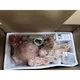 Customneonatal Resuscitation Manikin INC-F01 Teacher Doctors 7