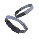 Dog Harness Collar and Lead Set 20~25 Days - - 2