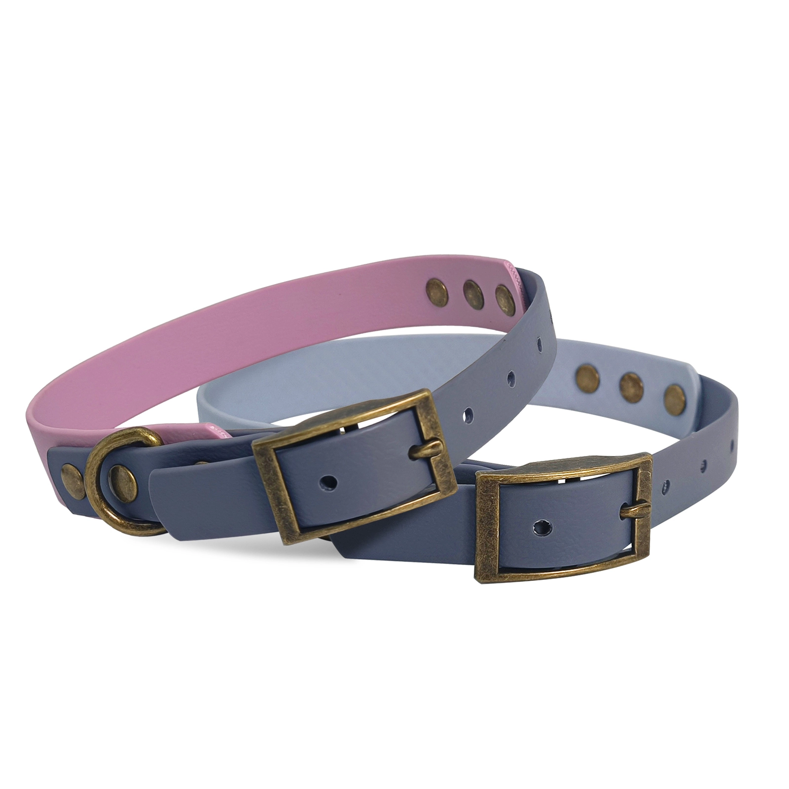 Collier de chien imperméable avec boucle réglable sûre colliers de chien multicolores revêtement en PVC Biothane colliers pour animaux de compagnie PSP-201 1