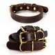 Dog Leads and Leashes Online Payment Or T/T (30% Deposit and the Balance Paid Before Shipment) - - 2