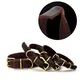 Dog Leads and Leashes Online Payment Or T/T (30% Deposit and the Balance Paid Before Shipment) - - 3
