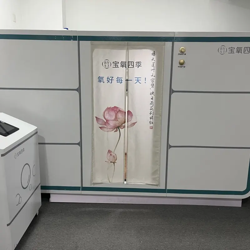 Hyperbaric Oxygen Chamber 45 Days Upon Receipt the 30% Deposit by Lixin Medical 3