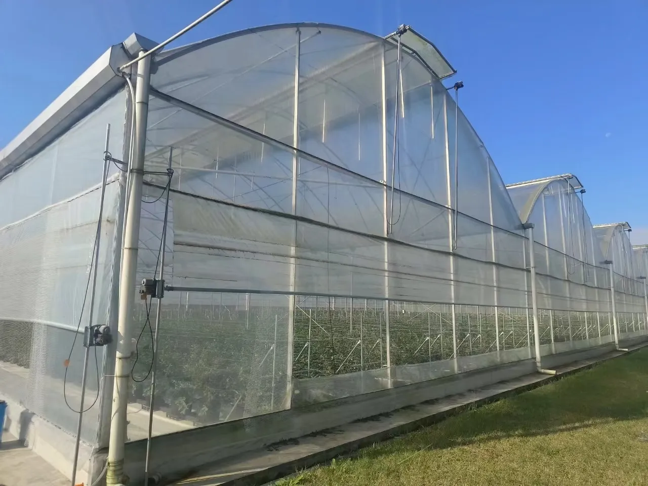 Multi Span Greenhouse Design Paypal by Oone 2