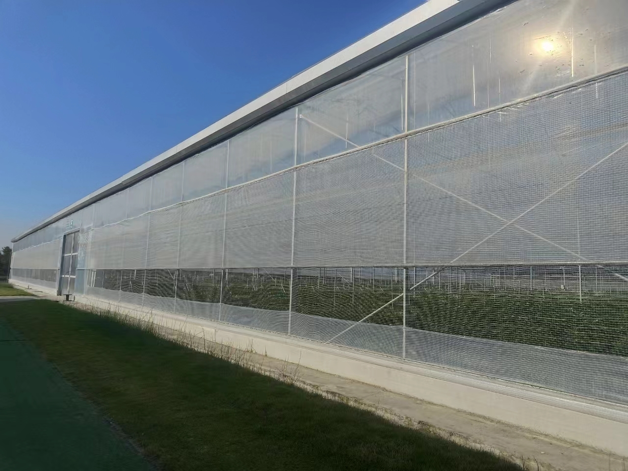 Multi Span Greenhouse Customized by Oone 3
