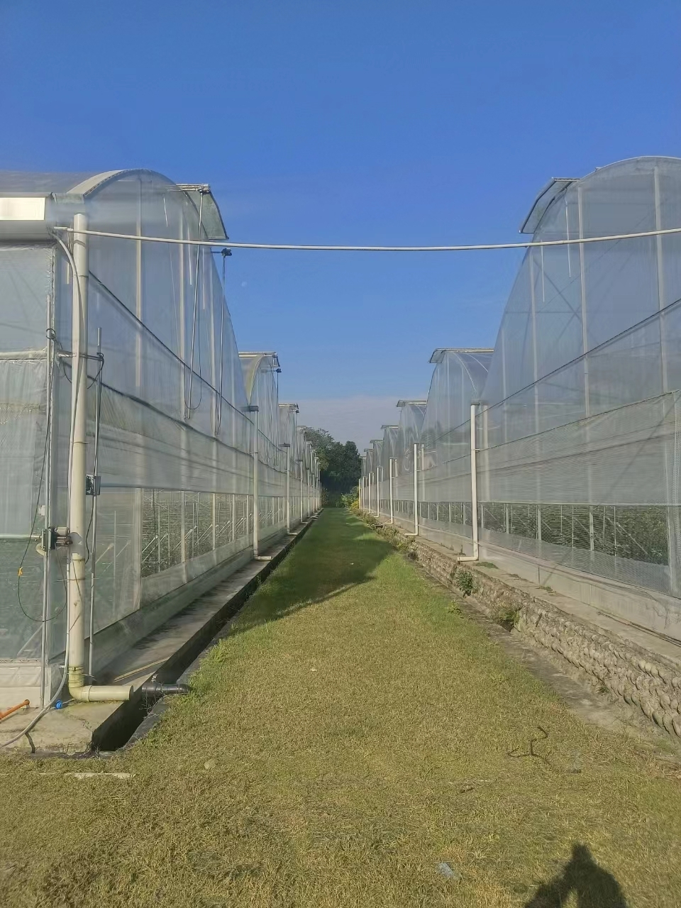 Multi Span Greenhouse Customized by Oone 5