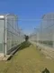 Multi Span Greenhouse Design Paypal by Oone 5
