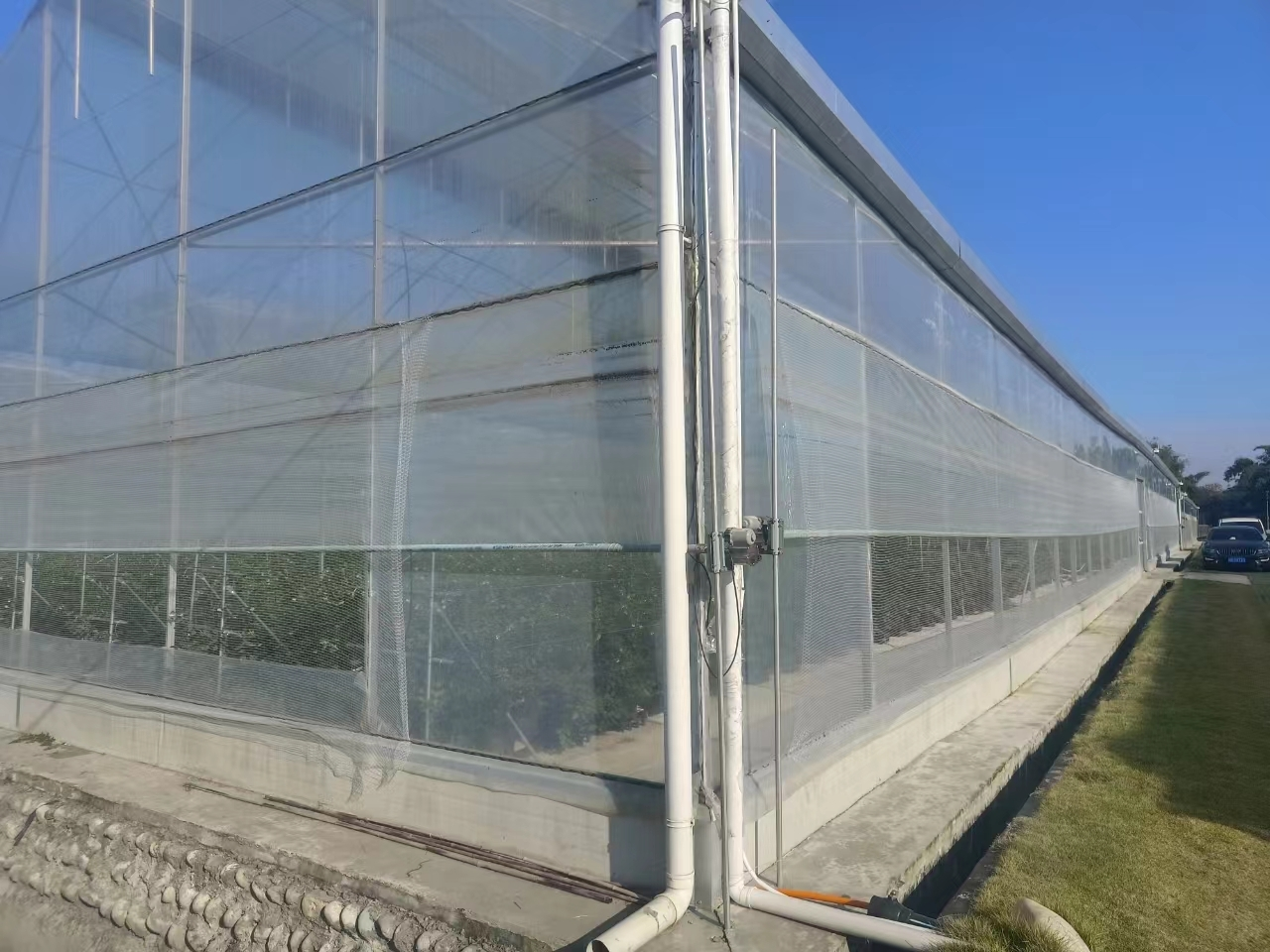 Multi Span Greenhouse Customized by Oone 4