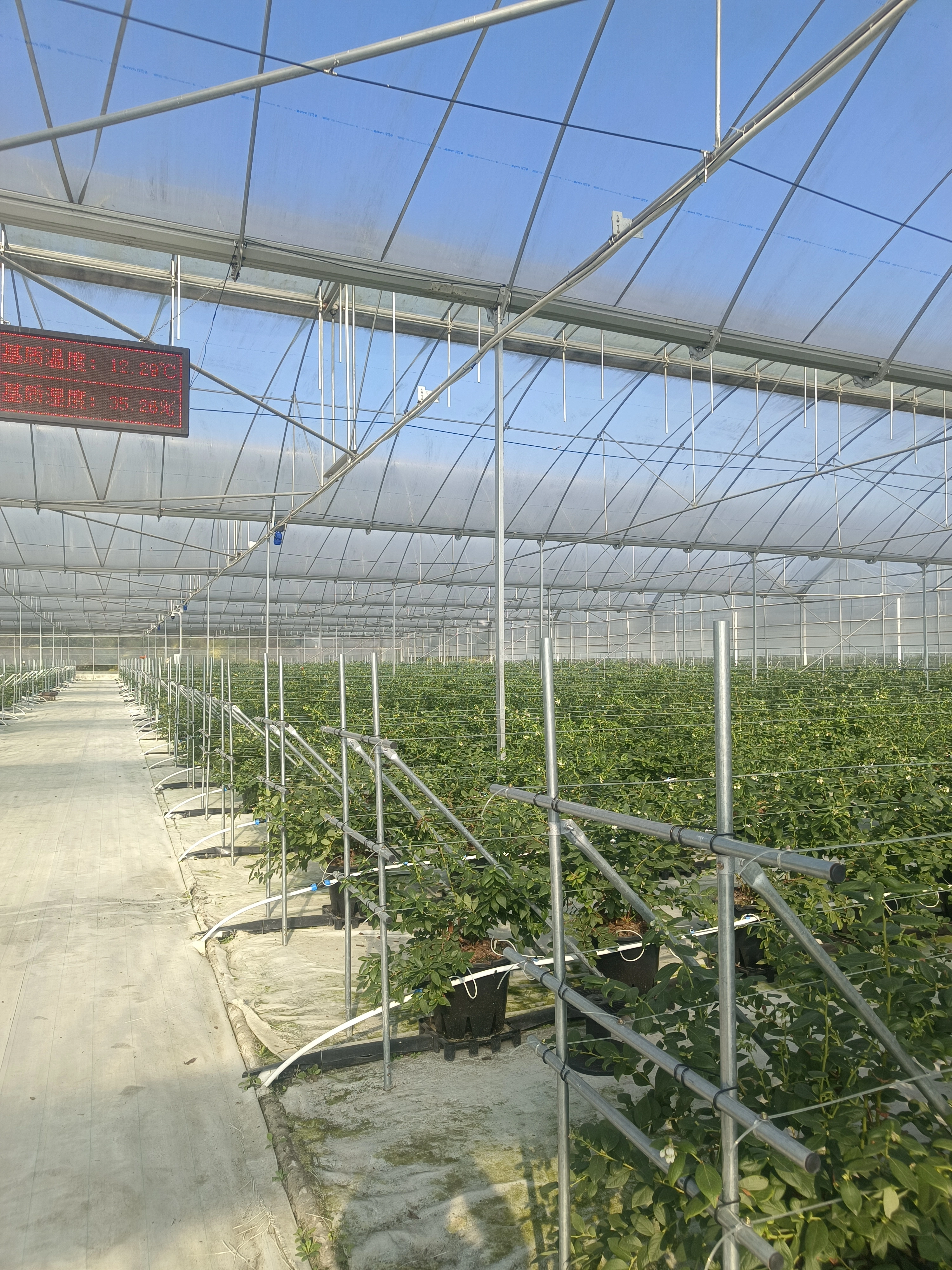 Multi Span Greenhouse Customized by Oone 7