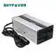 Smart Car Battery Charger - - SKYFAVOR-2 2