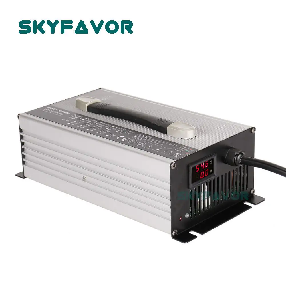 Smart Car Battery Charger - - SKYFAVOR-1 4