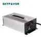 Smart Car Battery Charger - - SKYFAVOR-1 4