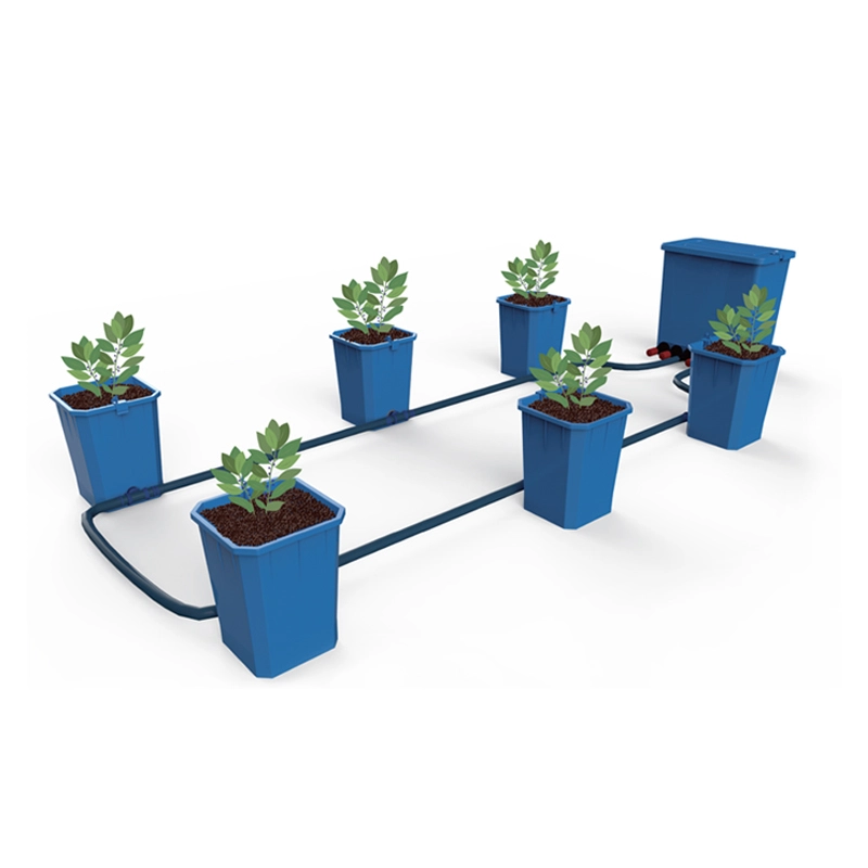 Hydroponic System Customized by Oone 4