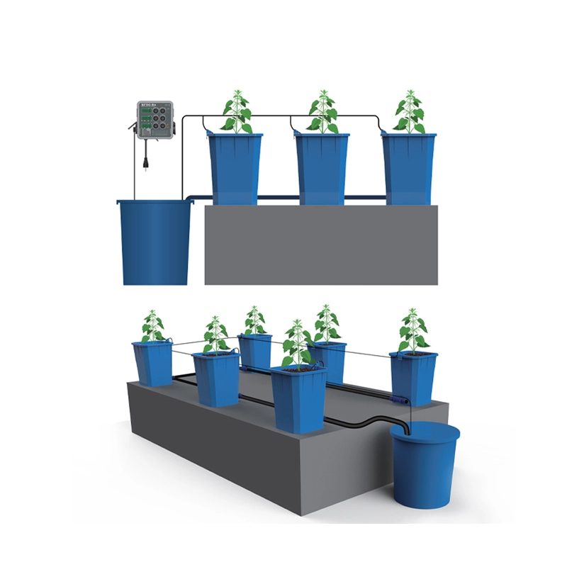Hydroponic System Customized by Oone 5