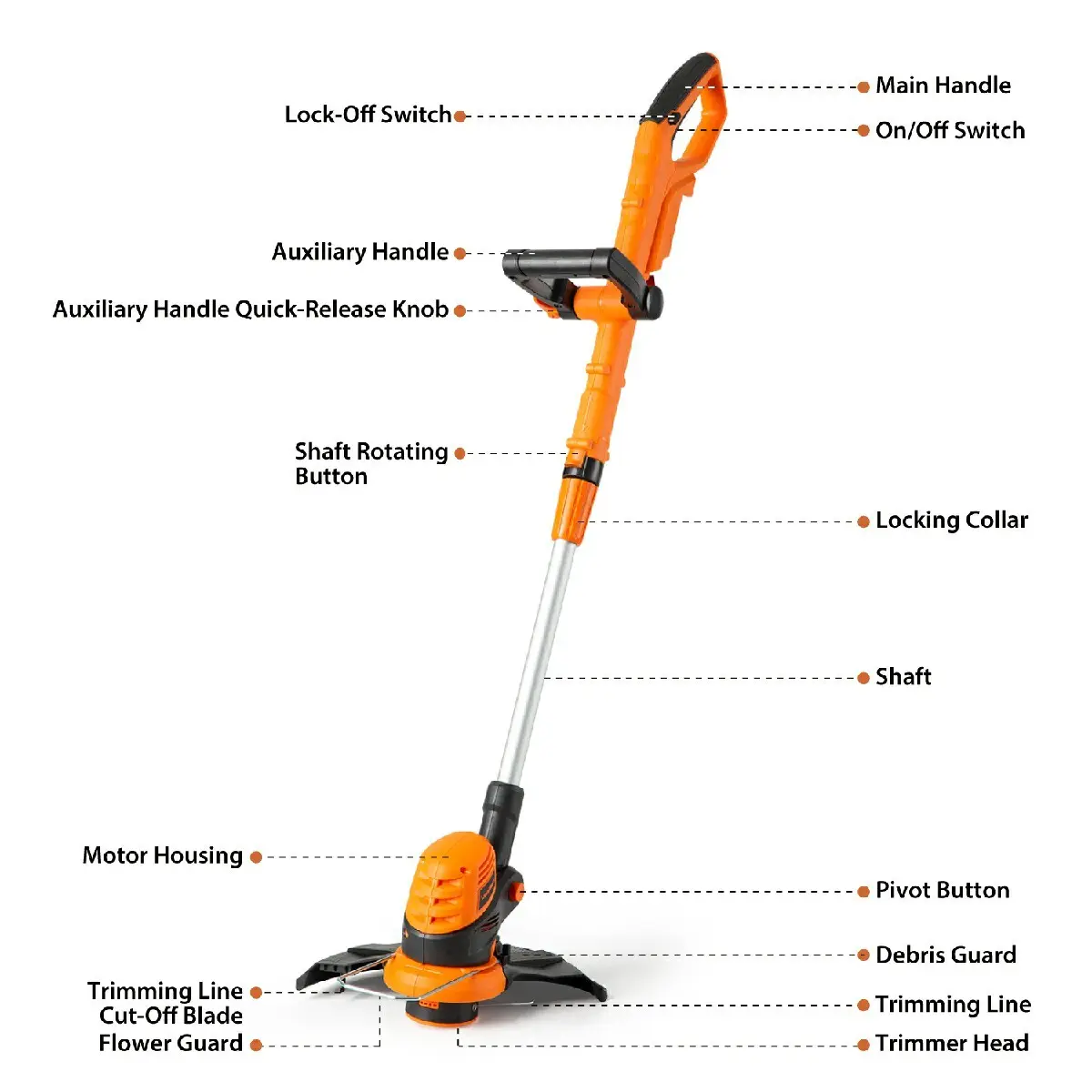 Quality Vacuum Cleaner by CLEVA 3