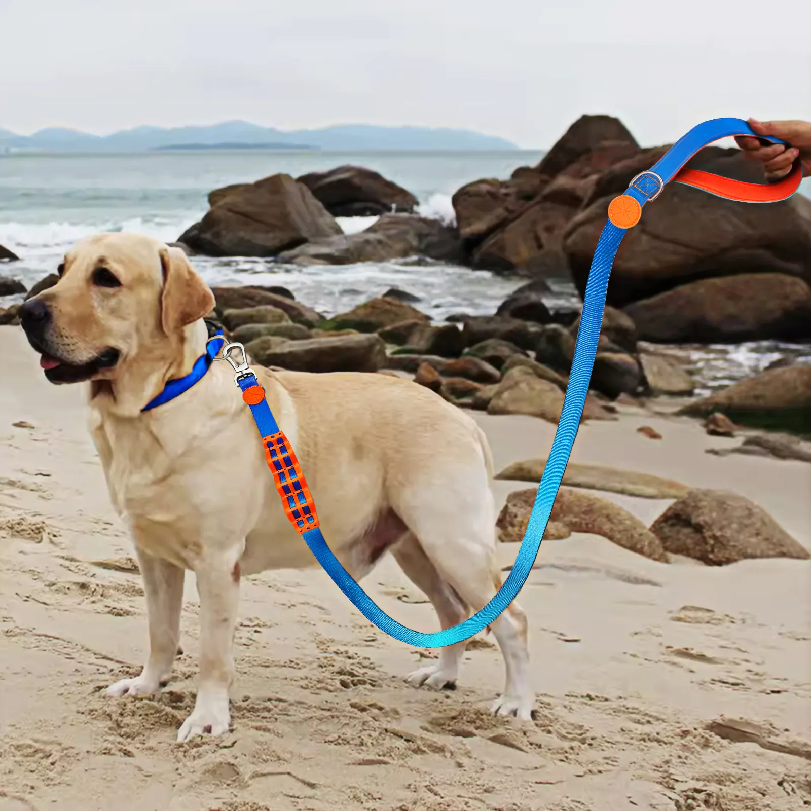 Purespet Retractable Dog Leash with Poop Bag Holder Price List 6