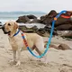 Purespet Retractable Dog Leash with Poop Bag Holder Price List 6
