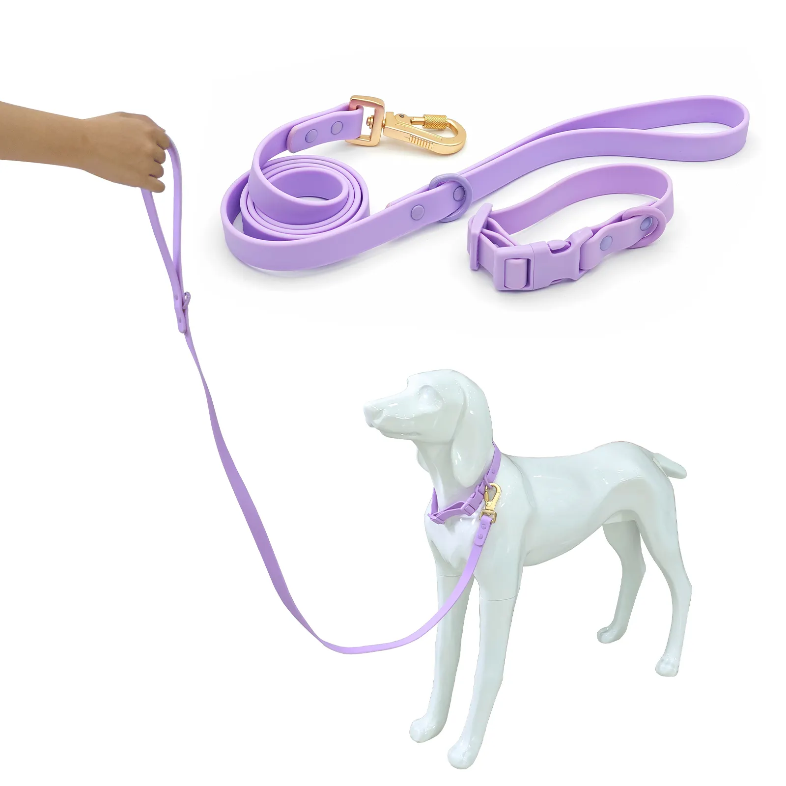 Custom Printed Dog Leashes 25~30 Days - - 5