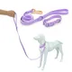 Custom Printed Dog Leashes 25~30 Days - - 5