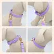 Custom Printed Dog Leashes 25~30 Days - - 6