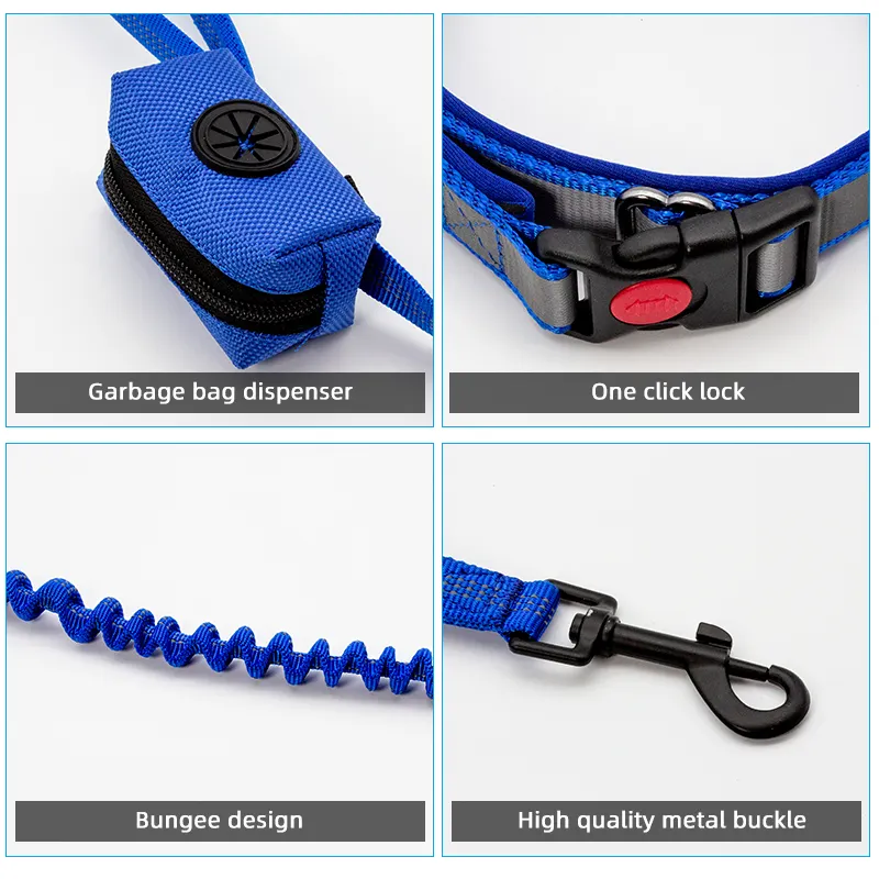 Dog Leashes and Collars for Sale 25~30 Days by 7