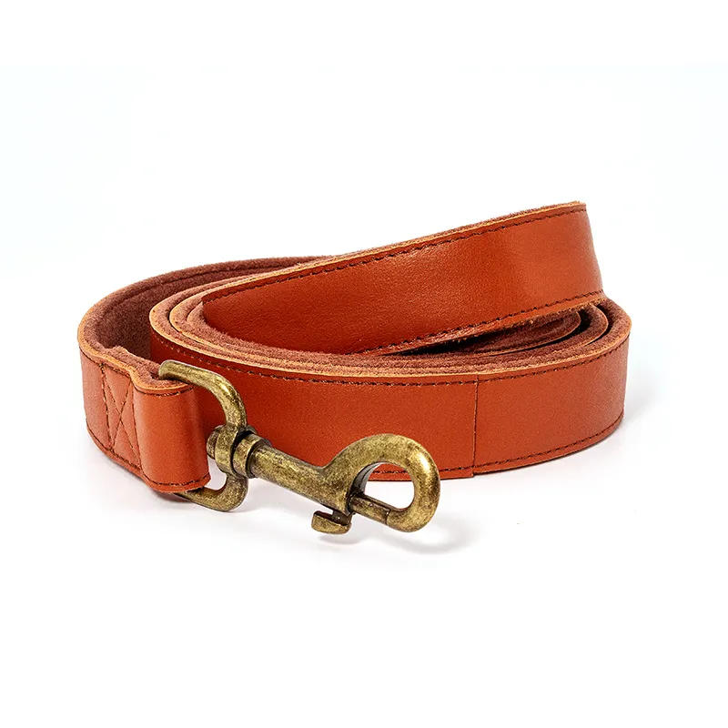 Dog Collar Harness and Leash Set 3FT - - 5
