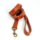 Dog Collar Harness and Leash Set 3FT - - 3