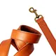 Dog Collar Harness and Leash Set 3FT - - 6