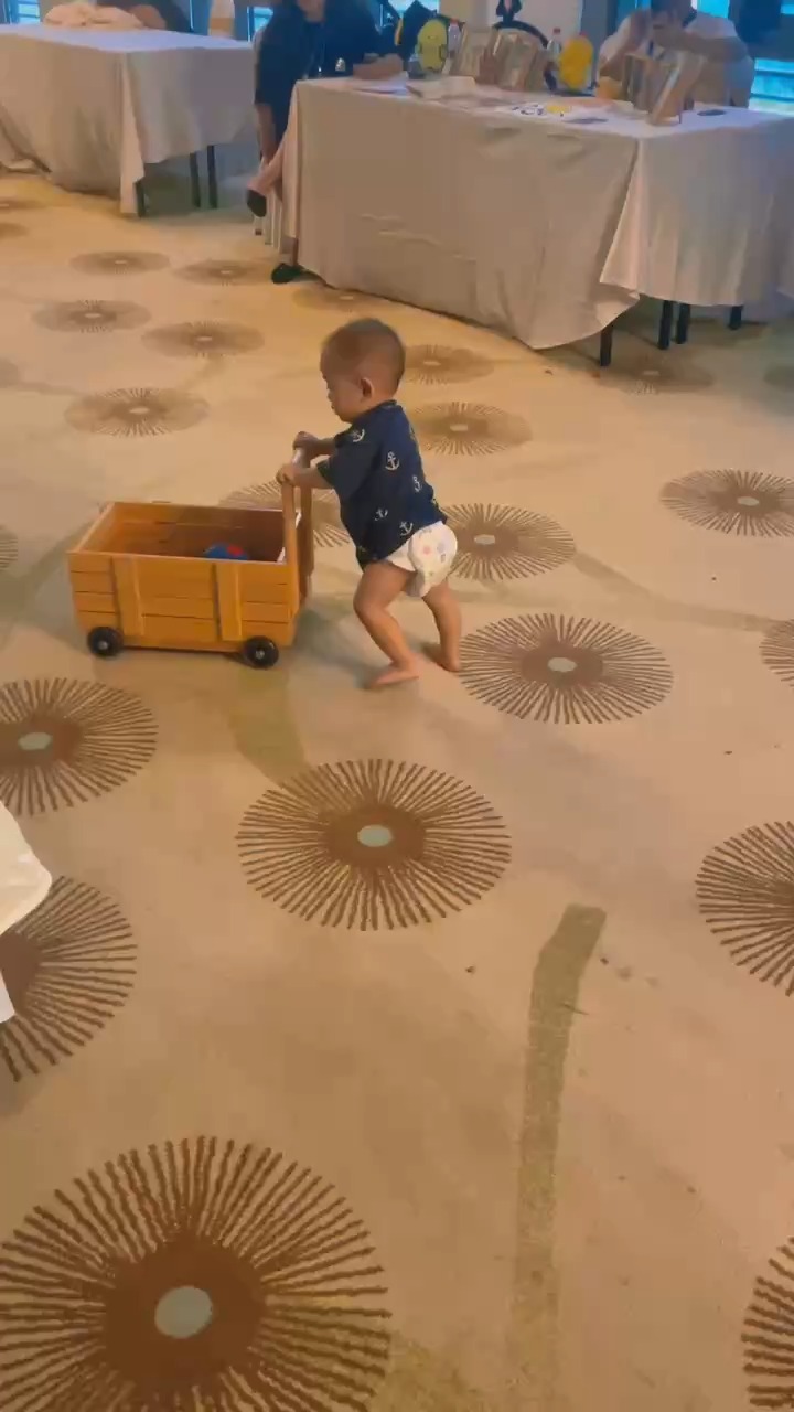 Montessori Baby Walker - من الخطوات الأولى إلى الخطوات الواثقة