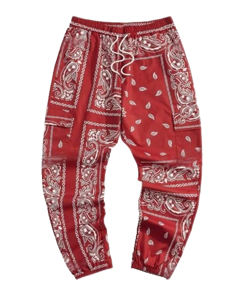 Men Paisley Print Drawstring Waist Cargo Pants, School 1