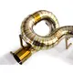 Custom Cat Back Exhaust Blue/silver/gold Wholesale - Maxdo 5