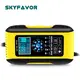 Custom Battery Chargers - - SKYFAVOR-12 5