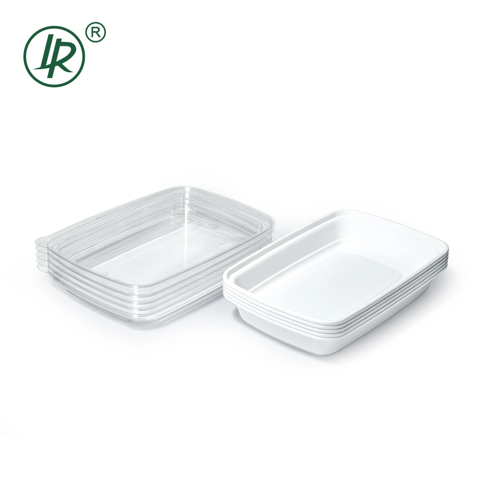 White PP Base Lunch Box With Clear PET Lid 1