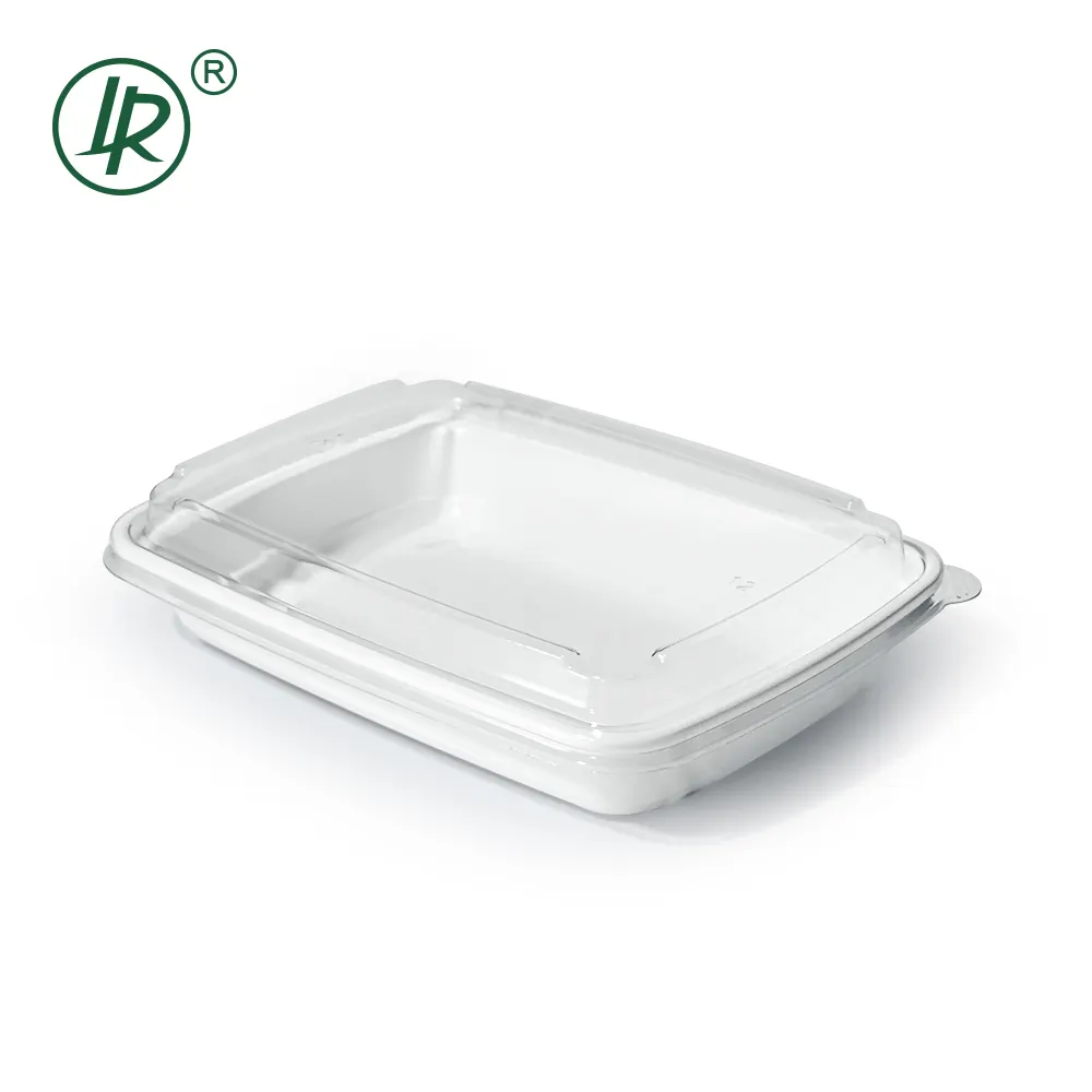 Clear Plastic Deli Containers with Lids by Lrpacking 12