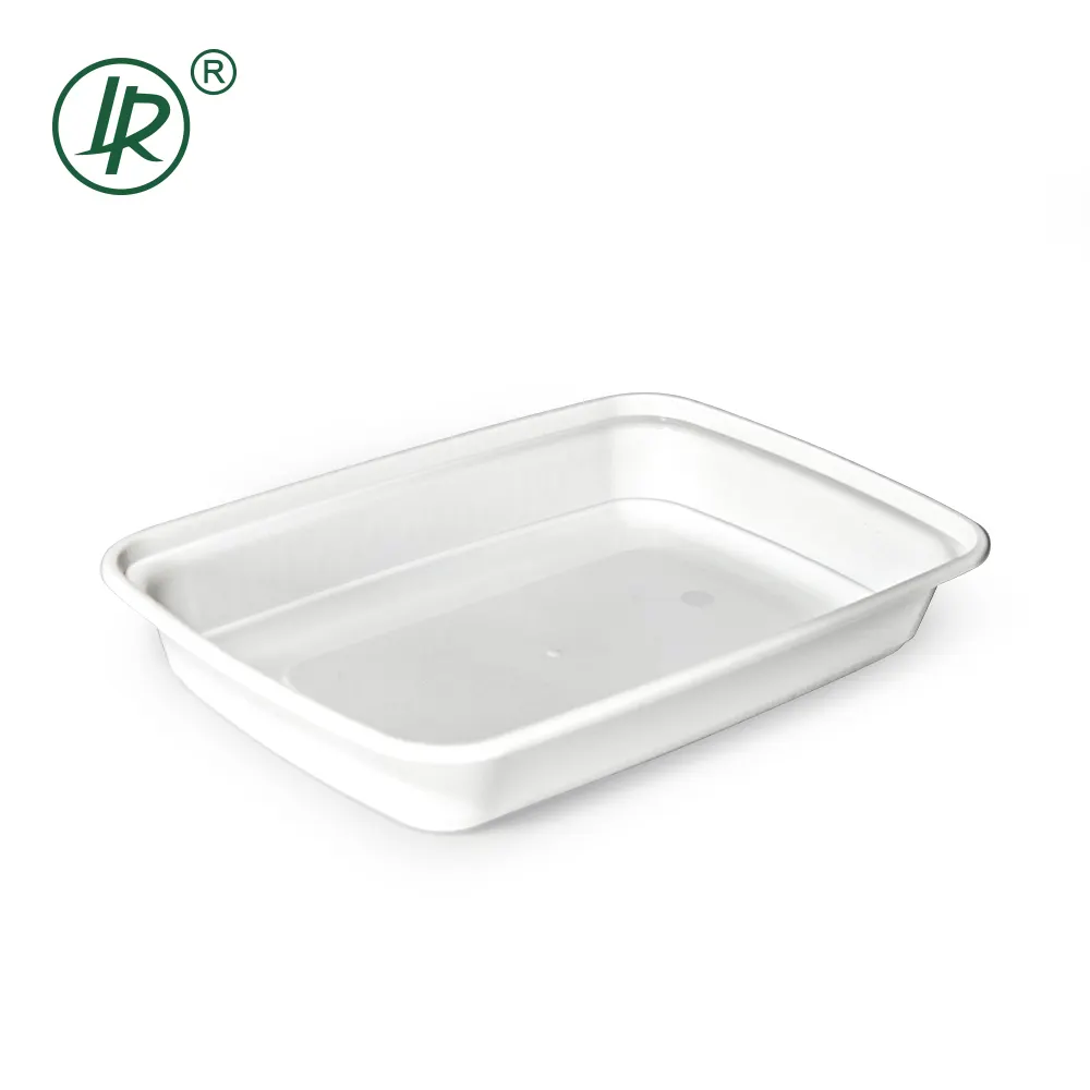 Clear Plastic Deli Containers with Lids by Lrpacking 10