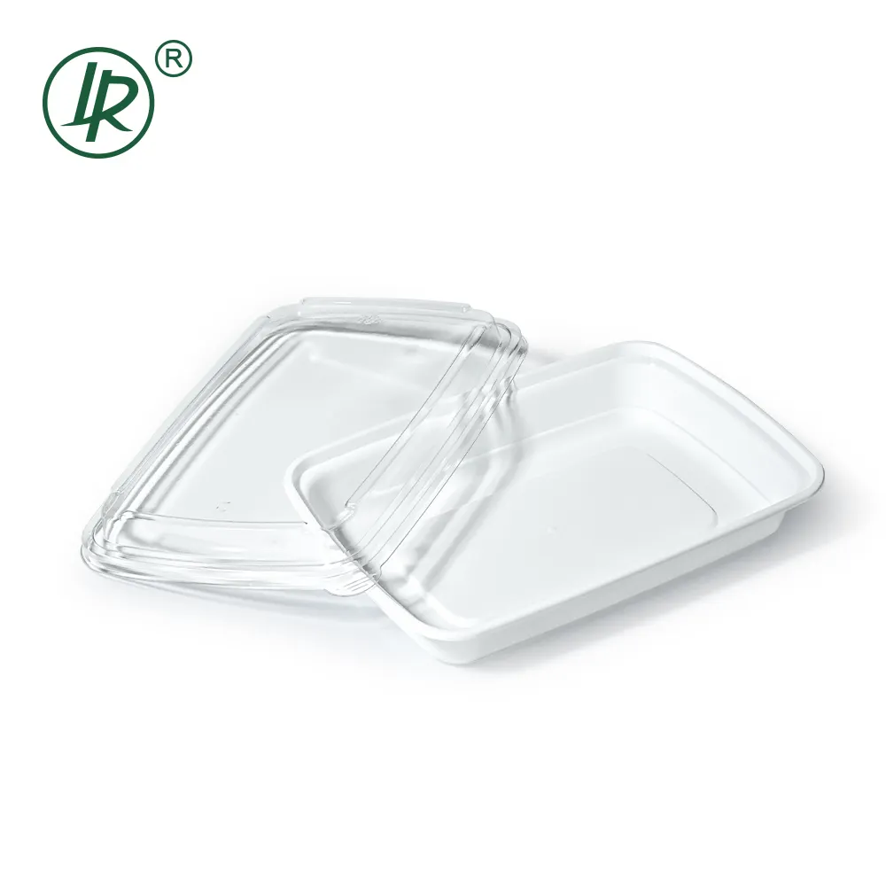 Clear Plastic Deli Containers with Lids by Lrpacking 8