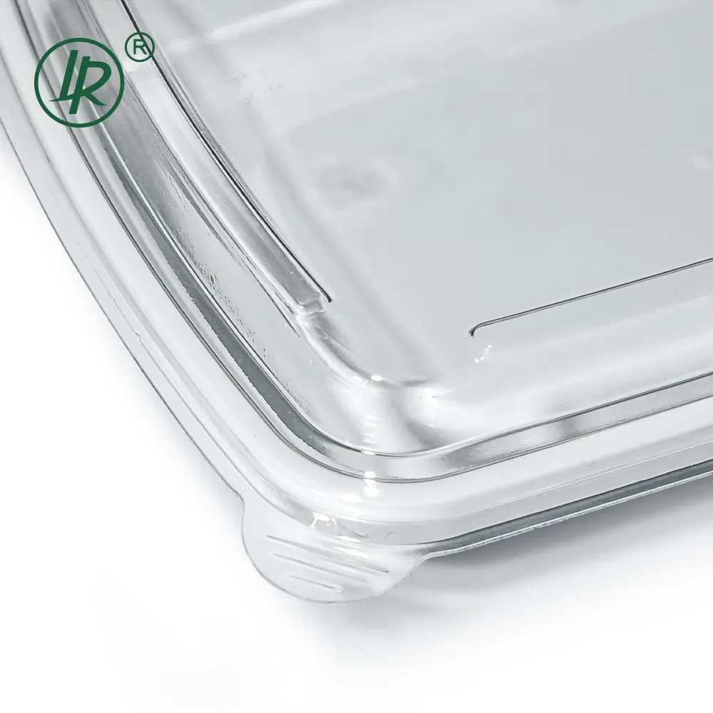 Clear Plastic Deli Containers with Lids by Lrpacking 4