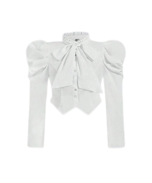 Plus Size Women White Palace Style Bishop Sleeve Ruffle Collar Metal Button Blouse 1