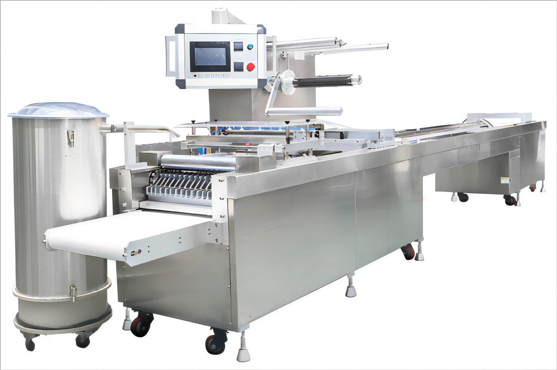 Flexible Plastic Packaging Machine 1