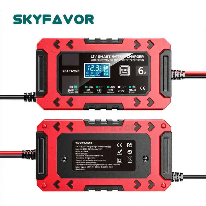 Cart Battery Charger - - SKYFAVOR 4