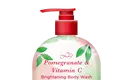 Body Wash Manufacturers 16.9 Fl Oz / 500mL by Lily Bath 3