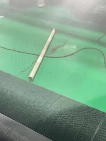 Super durable Fiberglass Window Screen, essential for insect proof and breathable! 1