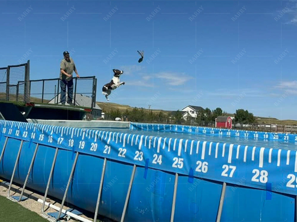 Perro de rescate volando alto muelle buceando sobre el suelo piscina marco de acero 1