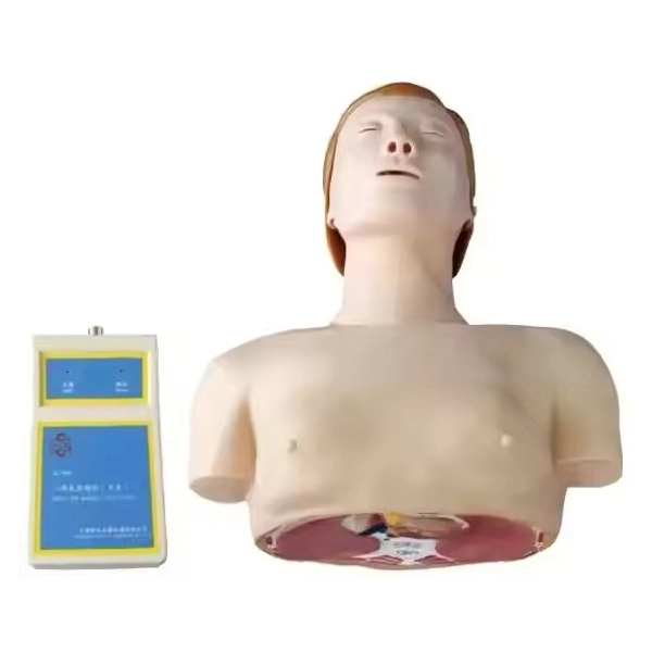 Material de PVC de meio corpo, modelo de treinamento básico de RCP Manikin | Innkom 1